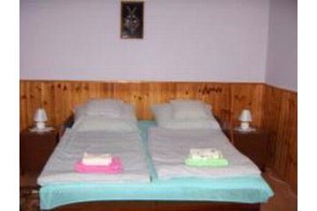 Унгария Privát Kiskunmajsa, Екстериор